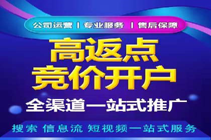 揭秘成功的关键词竞价排名背后的策略与执行