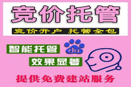 百度推广服务费案例：让品牌快速崛起的秘诀